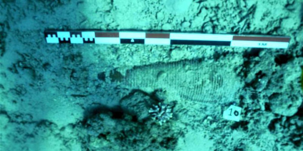 Wreck from 18th century and hundreds of artifacts found in Saudi Arabia