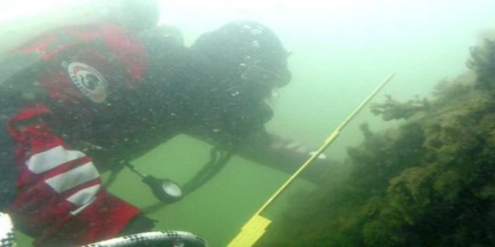 Wreck of a 17th century Swedish warship found